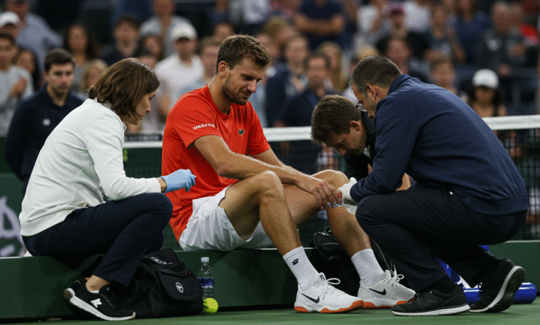 grigor dimitrov injury
